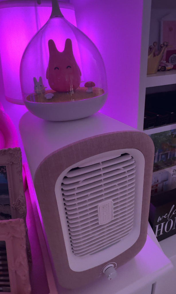 Check out my cutest little pink HEPA Air Purifier!