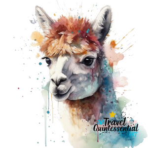 Alpaca Canvas Art Printable Digital Art (36x36) ALP003